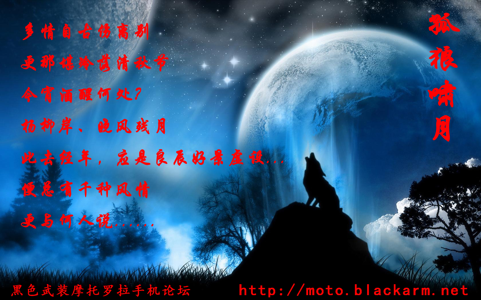 孤狼啸月.jpg 高清图片